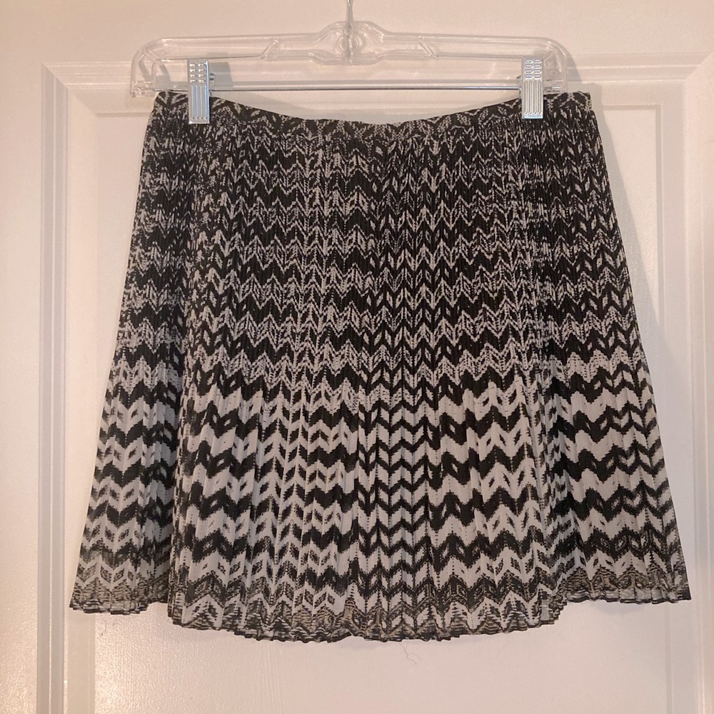 Pleated Skirt